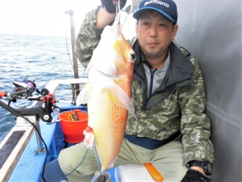 鯛紅丸 釣果