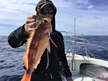 鯛紅丸 釣果