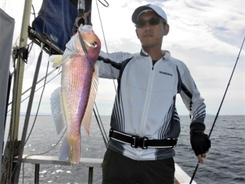 鯛紅丸 釣果