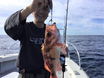 鯛紅丸 釣果