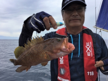 鯛紅丸 釣果