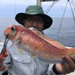 鯛紅丸 釣果