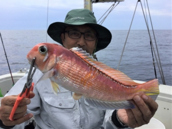鯛紅丸 釣果