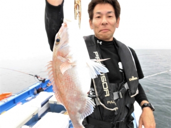 鯛紅丸 釣果