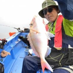 鯛紅丸 釣果