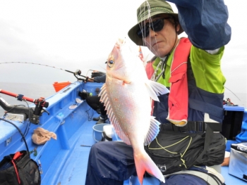 鯛紅丸 釣果