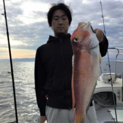 鯛紅丸 釣果