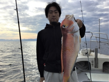 鯛紅丸 釣果