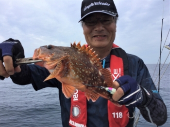 鯛紅丸 釣果