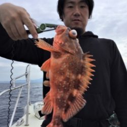 鯛紅丸 釣果