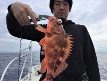 鯛紅丸 釣果