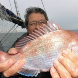 鯛紅丸 釣果