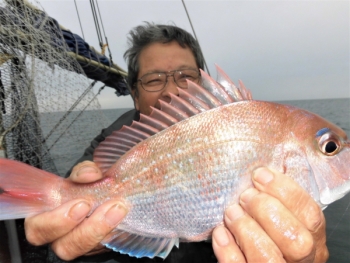 鯛紅丸 釣果