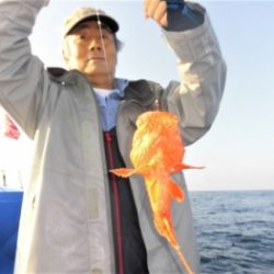 鯛紅丸 釣果