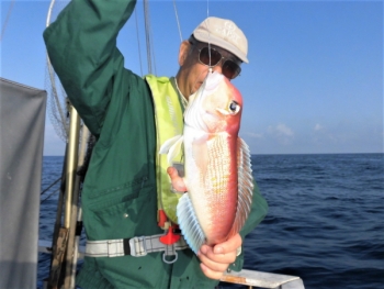 鯛紅丸 釣果