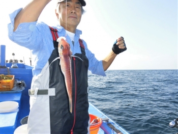 鯛紅丸 釣果