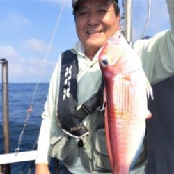 鯛紅丸 釣果