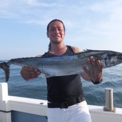 Hit Rush(ヒット ラッシュ) 釣果