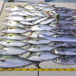 Hit Rush(ヒット ラッシュ) 釣果