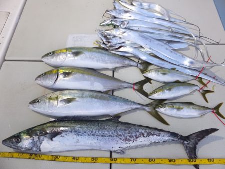 Hit Rush(ヒット ラッシュ） 釣果…