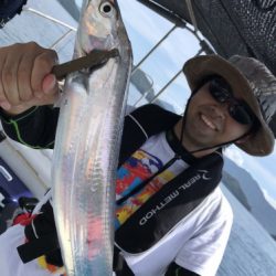 釣船 浦島太郎 釣果