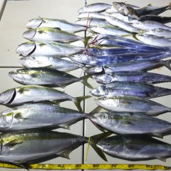 Hit Rush(ヒット ラッシュ) 釣果