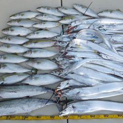 Hit Rush(ヒット ラッシュ） 釣果