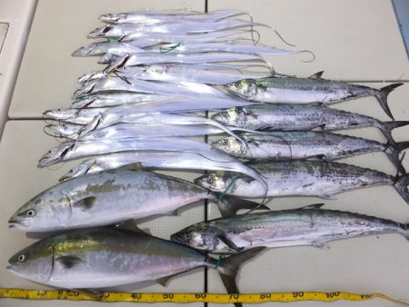 Hit Rush(ヒット ラッシュ） 釣果…