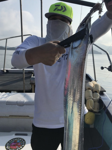釣船 浦島太郎 釣果