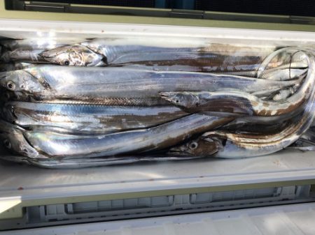 釣船 浦島太郎 釣果