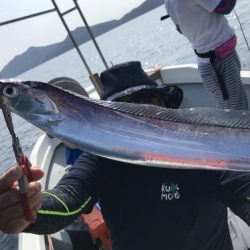 釣船 浦島太郎 釣果