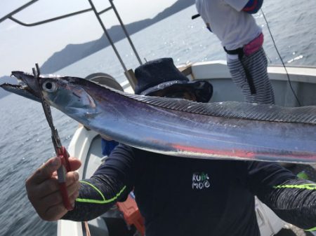釣船 浦島太郎 釣果