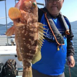 釣船 浦島太郎 釣果