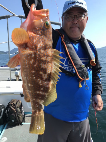 釣船 浦島太郎 釣果