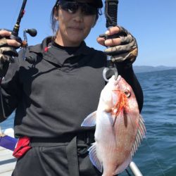 釣船 浦島太郎 釣果