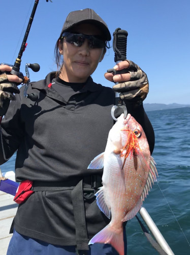 釣船 浦島太郎 釣果
