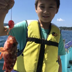 釣船 浦島太郎 釣果