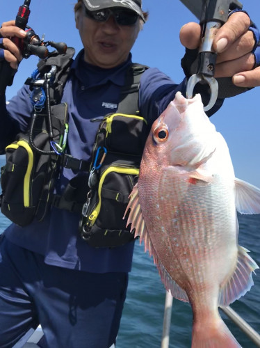 釣船 浦島太郎 釣果