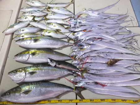 Hit Rush(ヒット ラッシュ） 釣果…