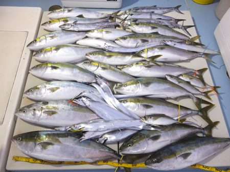 Hit Rush(ヒット ラッシュ） 釣果…