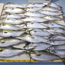 Hit Rush(ヒット ラッシュ) 釣果