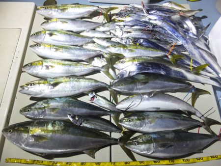 Hit Rush(ヒット ラッシュ） 釣果…