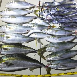 Hit Rush(ヒット ラッシュ) 釣果