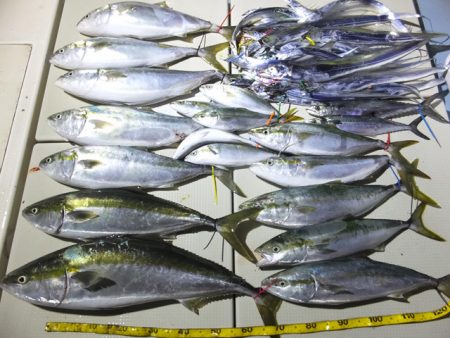 Hit Rush(ヒット ラッシュ) 釣果