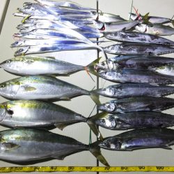 Hit Rush(ヒット ラッシュ) 釣果