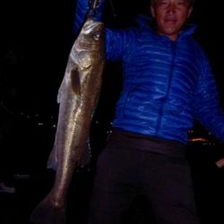 シーマジカル 釣果