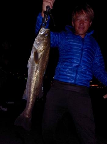 シーマジカル 釣果