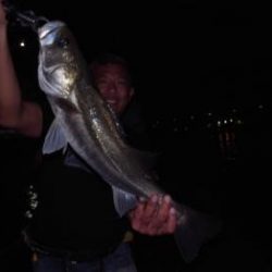 シーマジカル 釣果