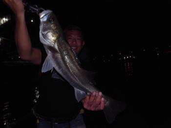 シーマジカル 釣果