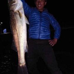 シーマジカル 釣果